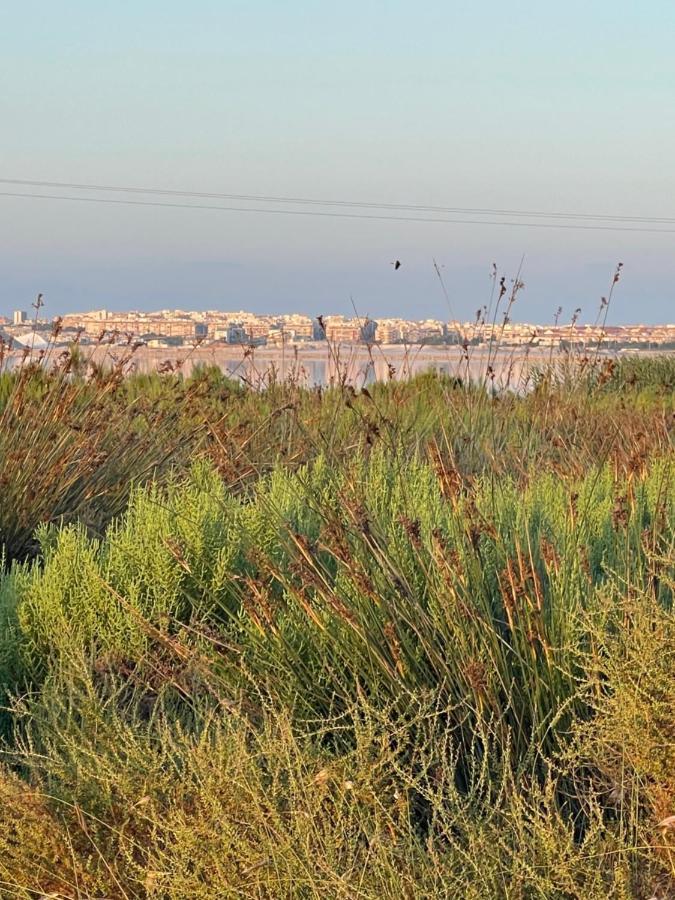 Apartamento Exclusivo Y Central Τορεβιέχα Εξωτερικό φωτογραφία